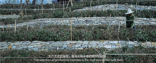 貴陽(yáng)中南·春風(fēng)南岸 社區(qū)花園實(shí)踐