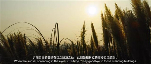 貴陽(yáng)中南·春風(fēng)南岸 社區(qū)花園實(shí)踐