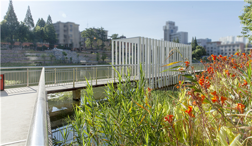園冶杯專業獎|池州護城河遺址公園景觀與海綿設計
