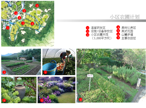 汪怡嘉：都市農業(yè)——以二澳農場為例