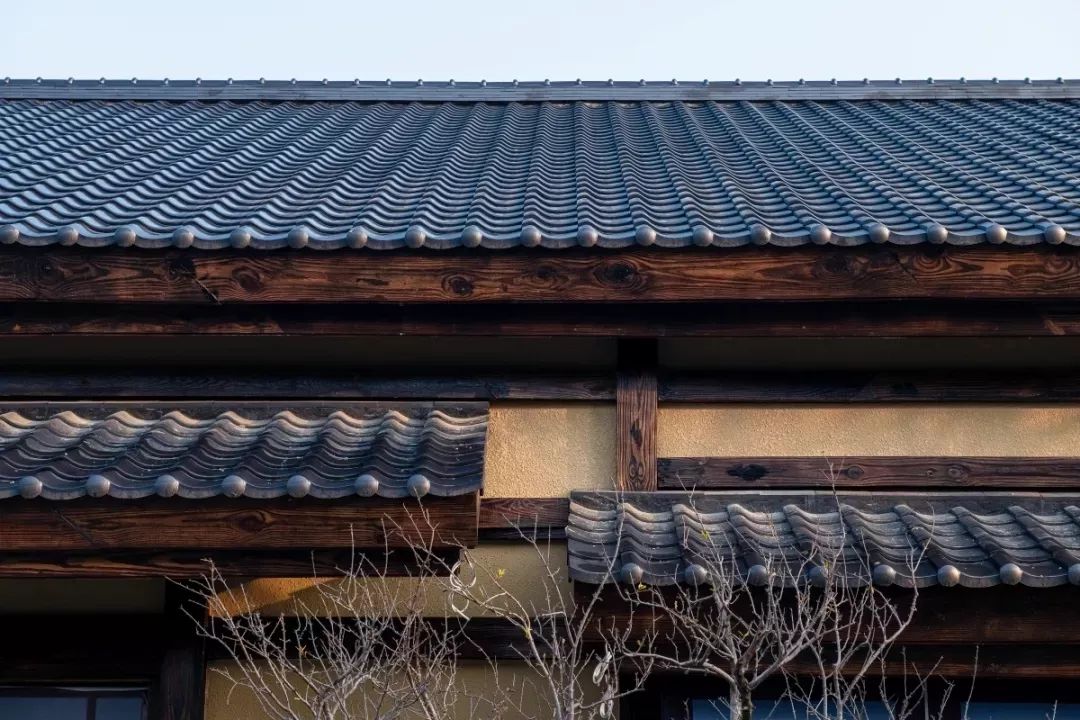 穿越千年盛唐，赴山水詩意之境 | 太白山·唐鎮