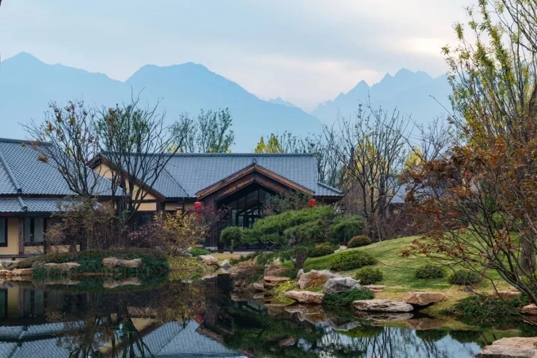 穿越千年盛唐，赴山水詩意之境 | 太白山·唐鎮