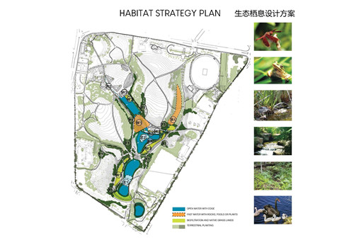 2019園冶杯專業(yè)獎大獎丨悉尼公園水再利用工程景觀設(shè)計