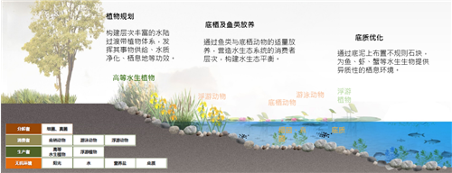 園冶杯專(zhuān)業(yè)獎(jiǎng)|北京市麗澤金融區(qū)河流綜合整治方案