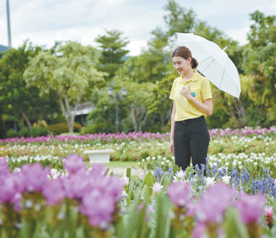 泰國皇家花園：透過園林和建筑藝術感知文化