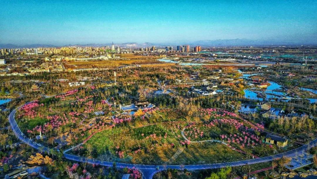 河北邢臺園博園梅嶺成最新網紅打卡地