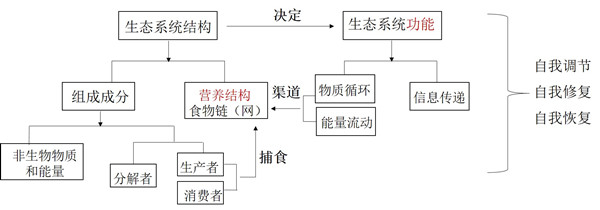 水生態系統保護、修復、利用的思考與實踐