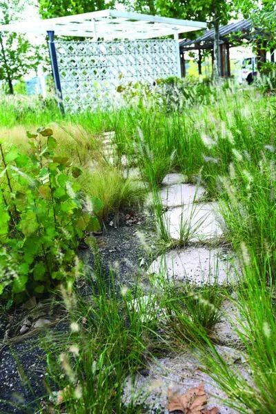青島世園會景區殘破荒廢，網友建議打造成兒童體驗園