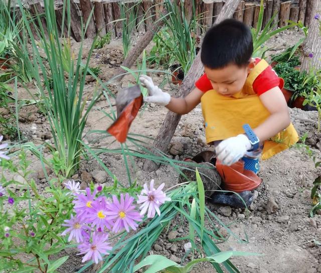 世園會英國大師園“搬”進中關村社區(qū)