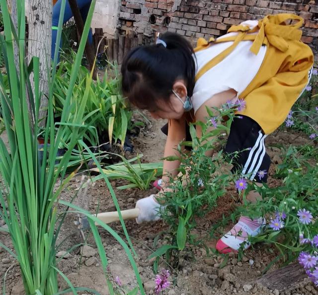 世園會英國大師園“搬”進中關村社區(qū)