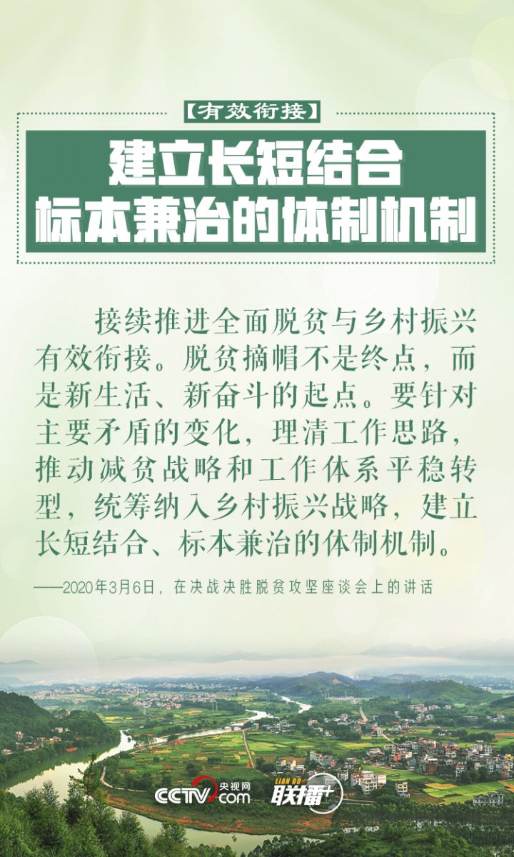 鄉(xiāng)村振興 習近平反復強調(diào)這四個字