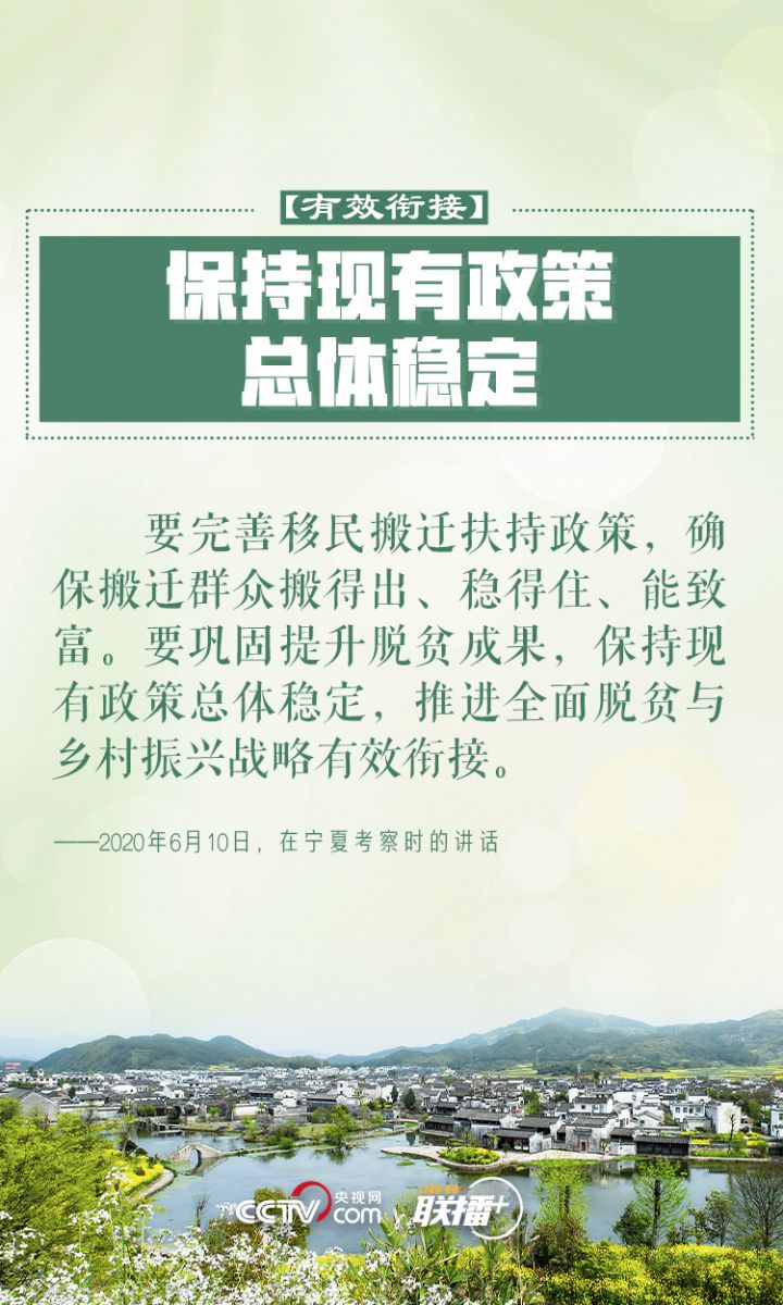 鄉(xiāng)村振興 習近平反復強調(diào)這四個字
