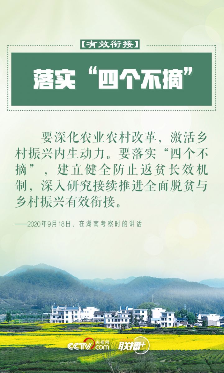 鄉(xiāng)村振興 習近平反復強調(diào)這四個字