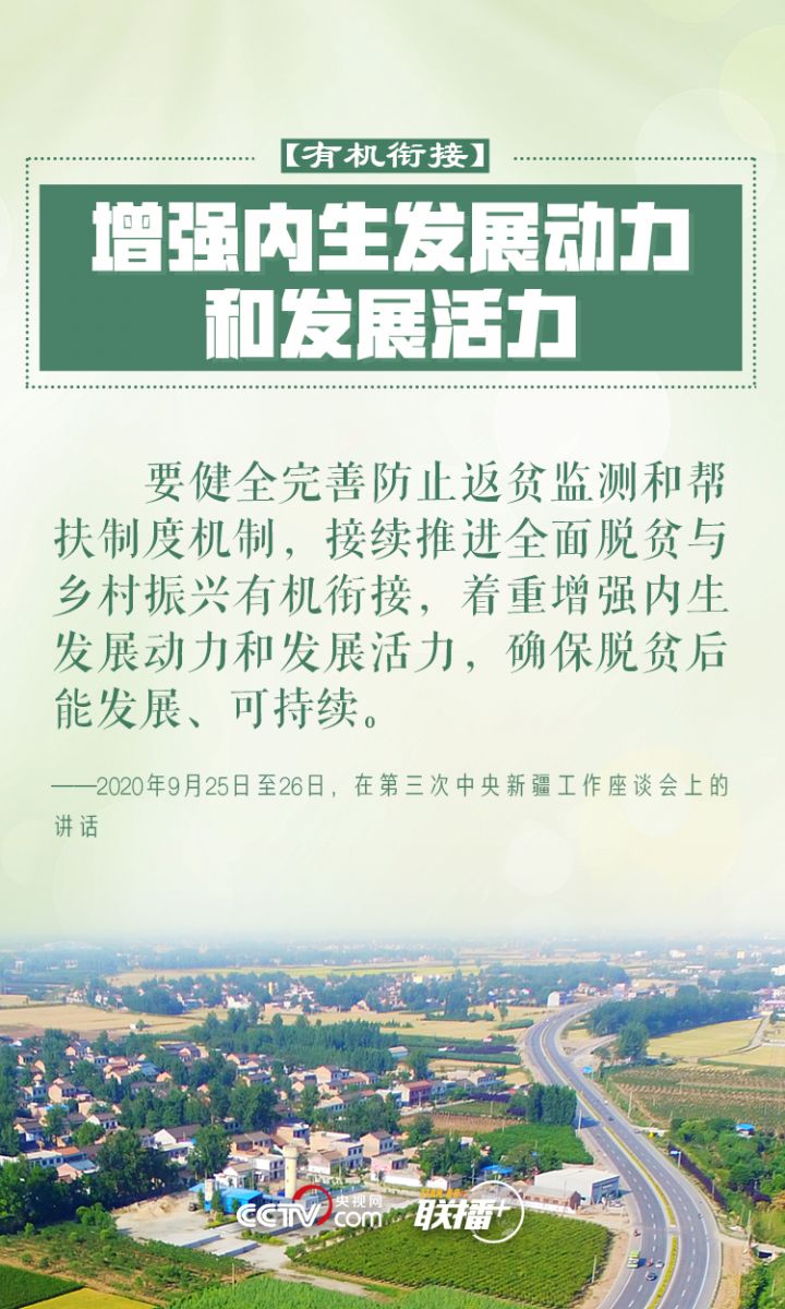 鄉(xiāng)村振興 習近平反復強調(diào)這四個字