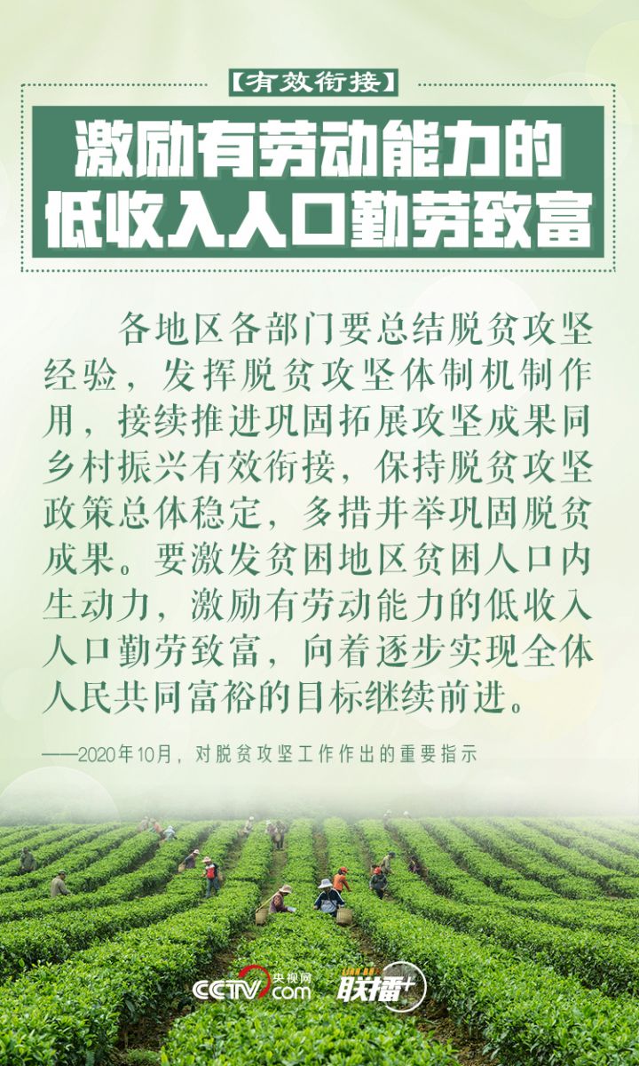 鄉(xiāng)村振興 習近平反復強調(diào)這四個字