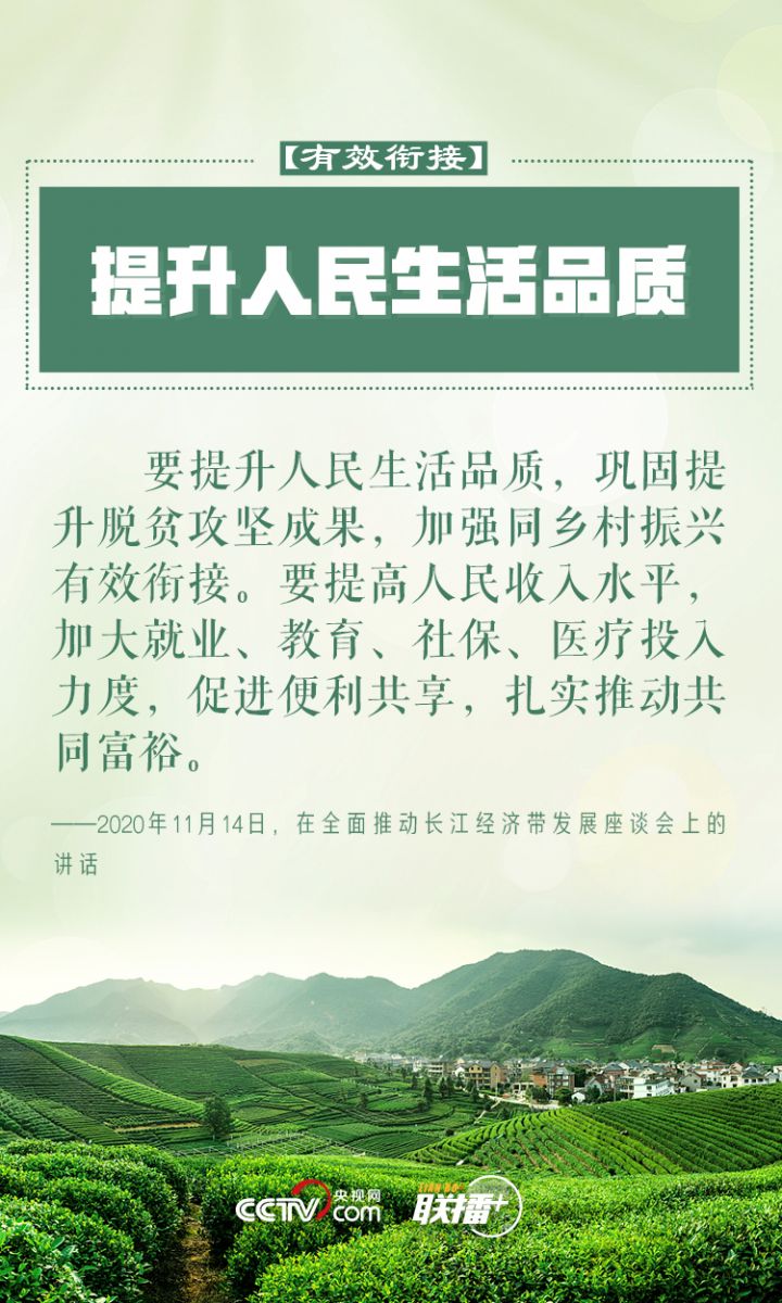 鄉(xiāng)村振興 習近平反復強調(diào)這四個字