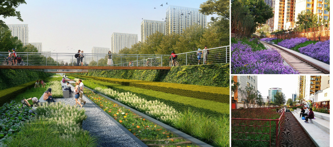 李雄：風景園林，讓城市更新更有生命力