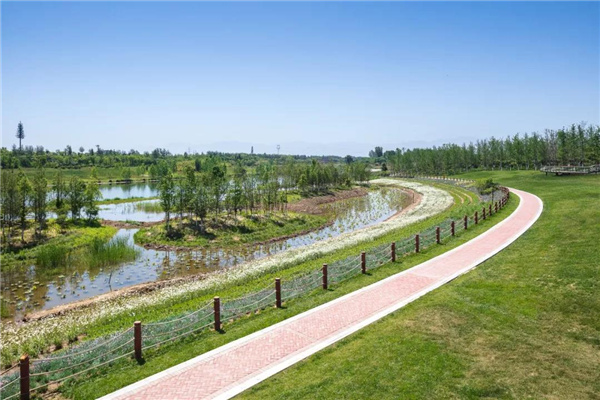怡境景觀丨灃河濕地生態(tài)公園
