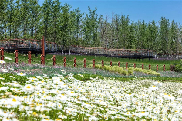 怡境景觀丨灃河濕地生態(tài)公園
