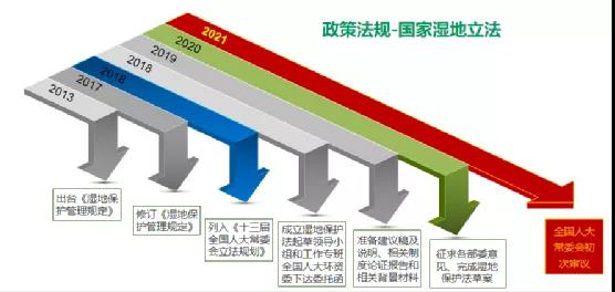鮑達(dá)明：加強(qiáng)濕地保護(hù)，促進(jìn)綠色發(fā)展