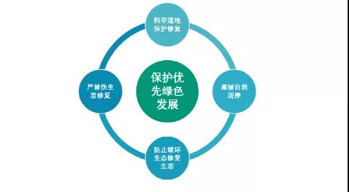 鮑達(dá)明：加強(qiáng)濕地保護(hù)，促進(jìn)綠色發(fā)展