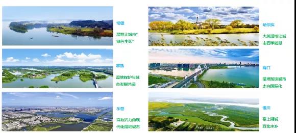 鮑達(dá)明：加強(qiáng)濕地保護(hù)，促進(jìn)綠色發(fā)展