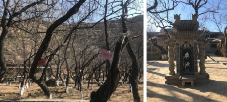 張鴿娟：西北鄉村“共同營建”探討