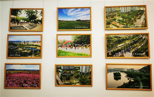 ?張家口市舉辦綠化美化主題活動(dòng) 展賽結(jié)合精彩紛呈