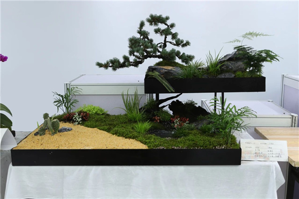 ?張家口市舉辦綠化美化主題活動(dòng) 展賽結(jié)合精彩紛呈