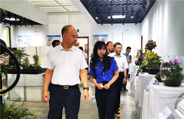 ?張家口市舉辦綠化美化主題活動(dòng) 展賽結(jié)合精彩紛呈
