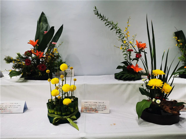 ?張家口市舉辦綠化美化主題活動(dòng) 展賽結(jié)合精彩紛呈