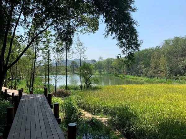 2021生態(tài)保護(hù)修復(fù)創(chuàng)新實(shí)踐論壇將于7月22日在重慶舉辦
