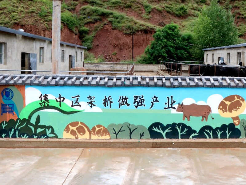 天津大學用“說話的景觀墻”扮靚美麗鄉(xiāng)村