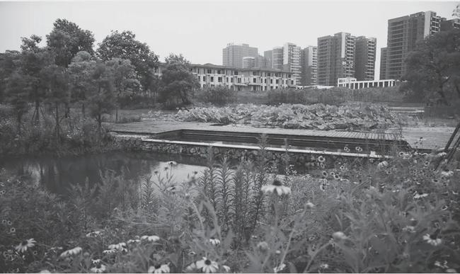 俞孔堅(jiān)：“海綿城市”出路何在？