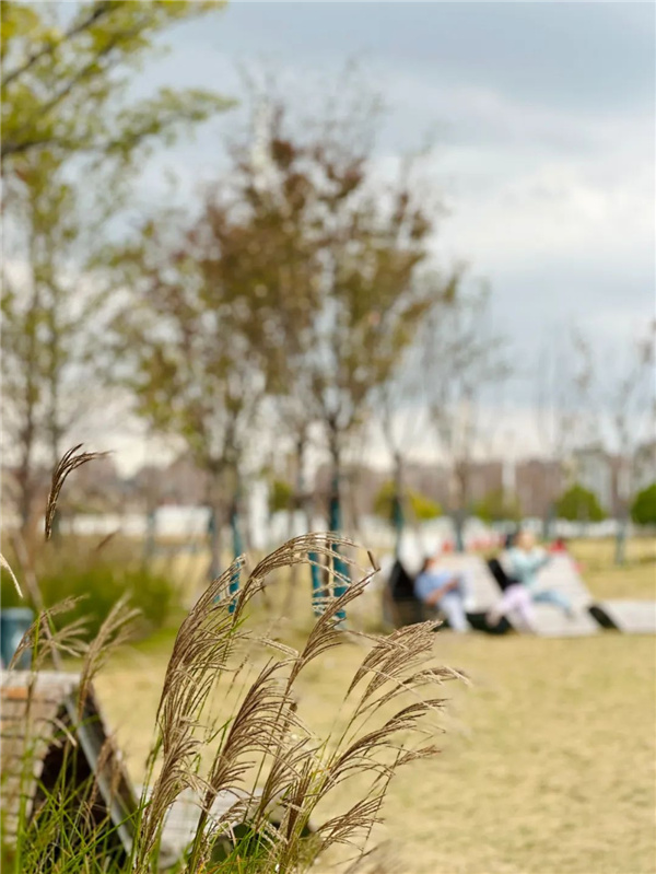 或然景觀丨上坤樾山南岸社區(qū)公園