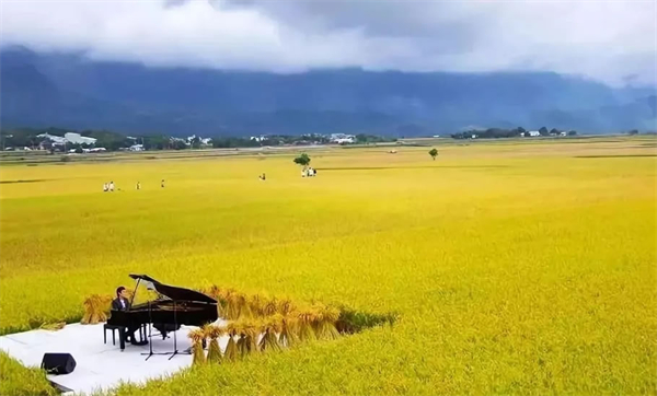 臺(tái)東縣池上鄉(xiāng)：稻米之鄉(xiāng)奏響四季樂(lè)章