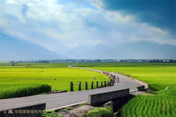 臺(tái)東縣池上鄉(xiāng)：稻米之鄉(xiāng)奏響四季樂(lè)章