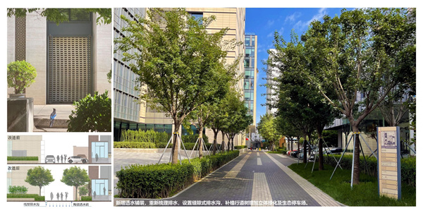 園冶杯獲獎(jiǎng)作品丨車公莊19號(hào)院景觀改造