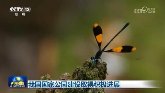 一年來，我國國家公園在哪些方面取得積極進(jìn)展