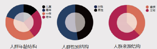 第二屆鄉村振興國際聯合畢業設計二等獎作品丨云檐煮茗，景織畬鄉