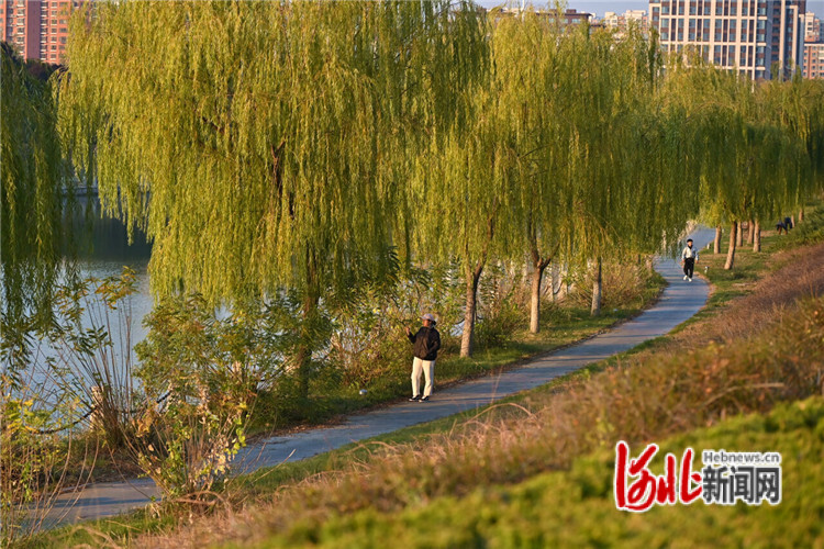 河北衡水建“一湖三區(qū)”綠廊，綠出高顏值美出高品質