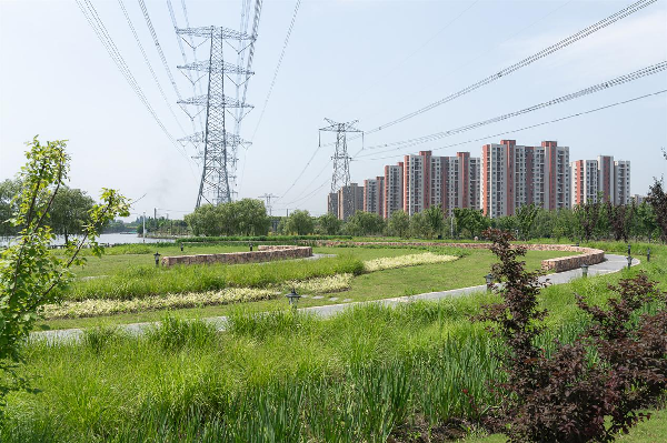 慢行系統——城市的毛細血管如何設計？