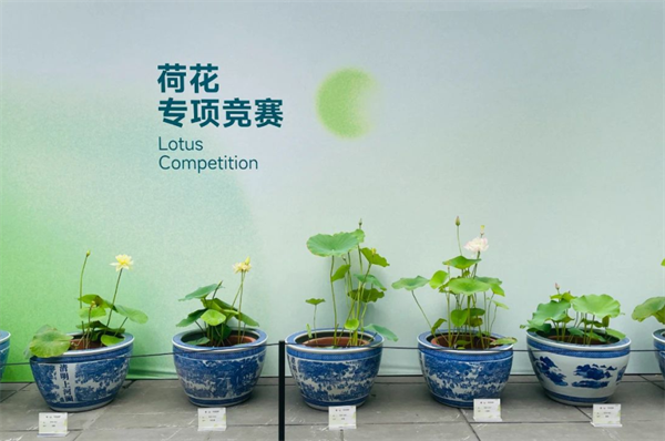 成都世園會(huì)邀八方來(lái)客中秋共赴“花”約！