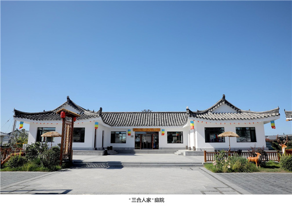 園冶杯參賽作品| 烏蘭哈達(dá)鎮(zhèn)三合村步行街