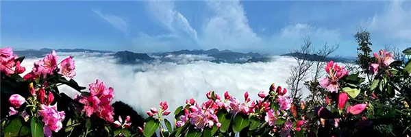 瀘古高速服務區及周邊地塊城市設計競賽，邀您參加