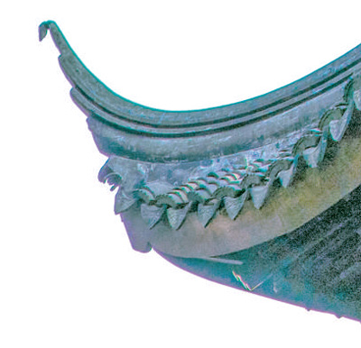 蘇州園林，何以展現(xiàn)生態(tài)意境？