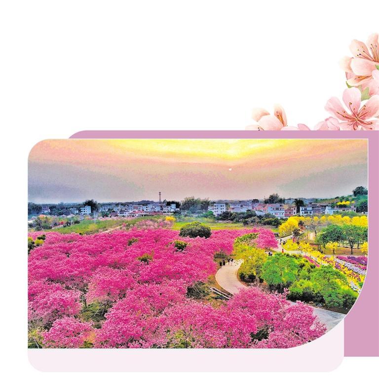 廣州“花卉＋文旅”釋放疊加效應(yīng)