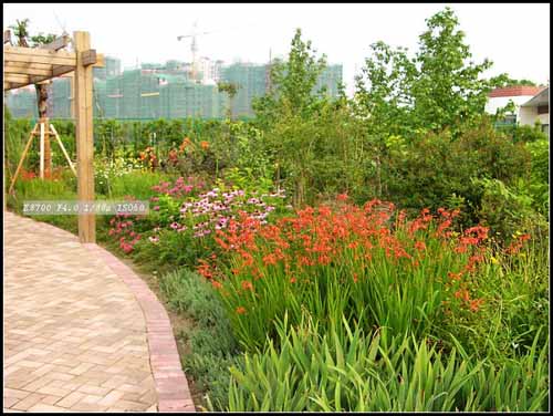 某公園的花境設(shè)計(jì)