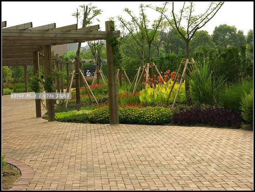 某公園的花境設(shè)計(jì)