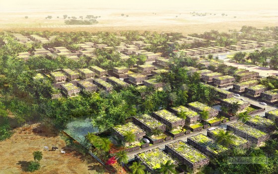 叢林住宅區